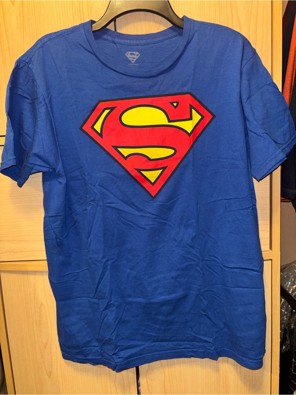 Superman Logo Blue Graphic T-Shirt